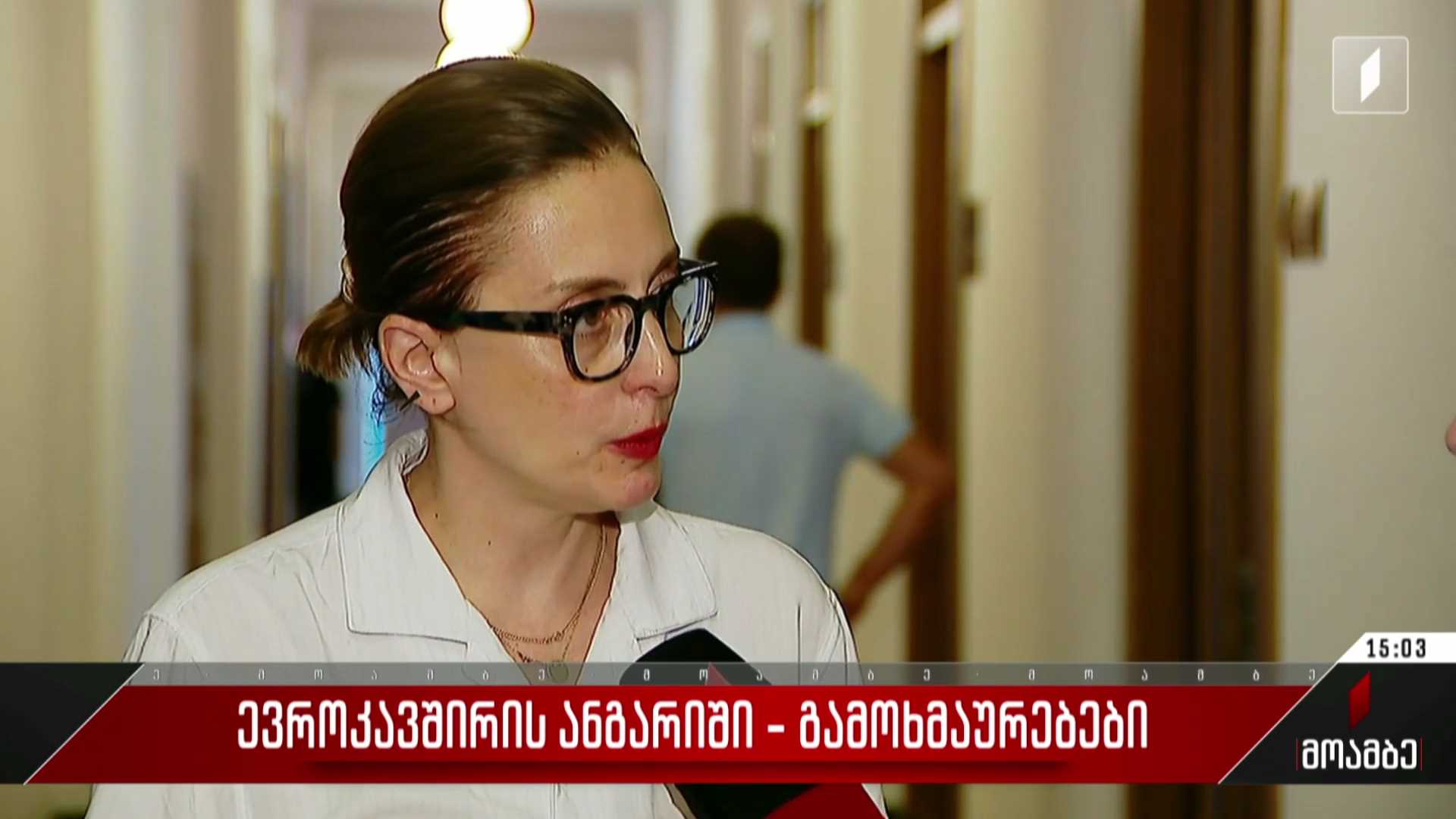 ევროკავშირის ანგარიში - გამოხმაურებები პოლიტიკურ სპექტრში