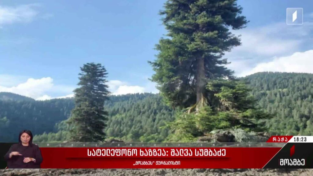 ვითარება შოვში – სატელეფონო ხაზზეა შალვა სუმბაძე