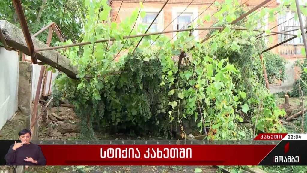 სტიქია კახეთში – გურჯაანში ძლიერი ქარისა და წვიმის შედეგად მიყენებულ ზარალს ითვლიან