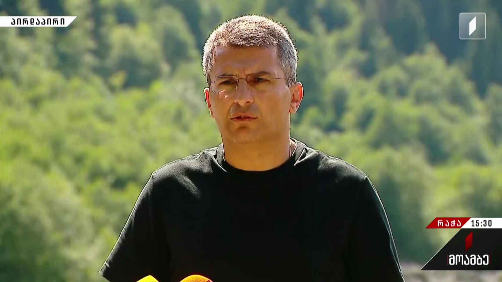 მამუკა მდინარაძის განცხადება