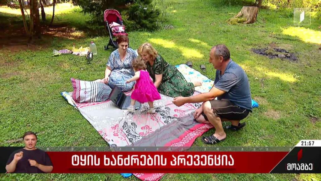 ტყის ხანძრების პრევენცია