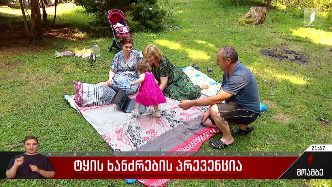 ტყის ხანძრების პრევენცია