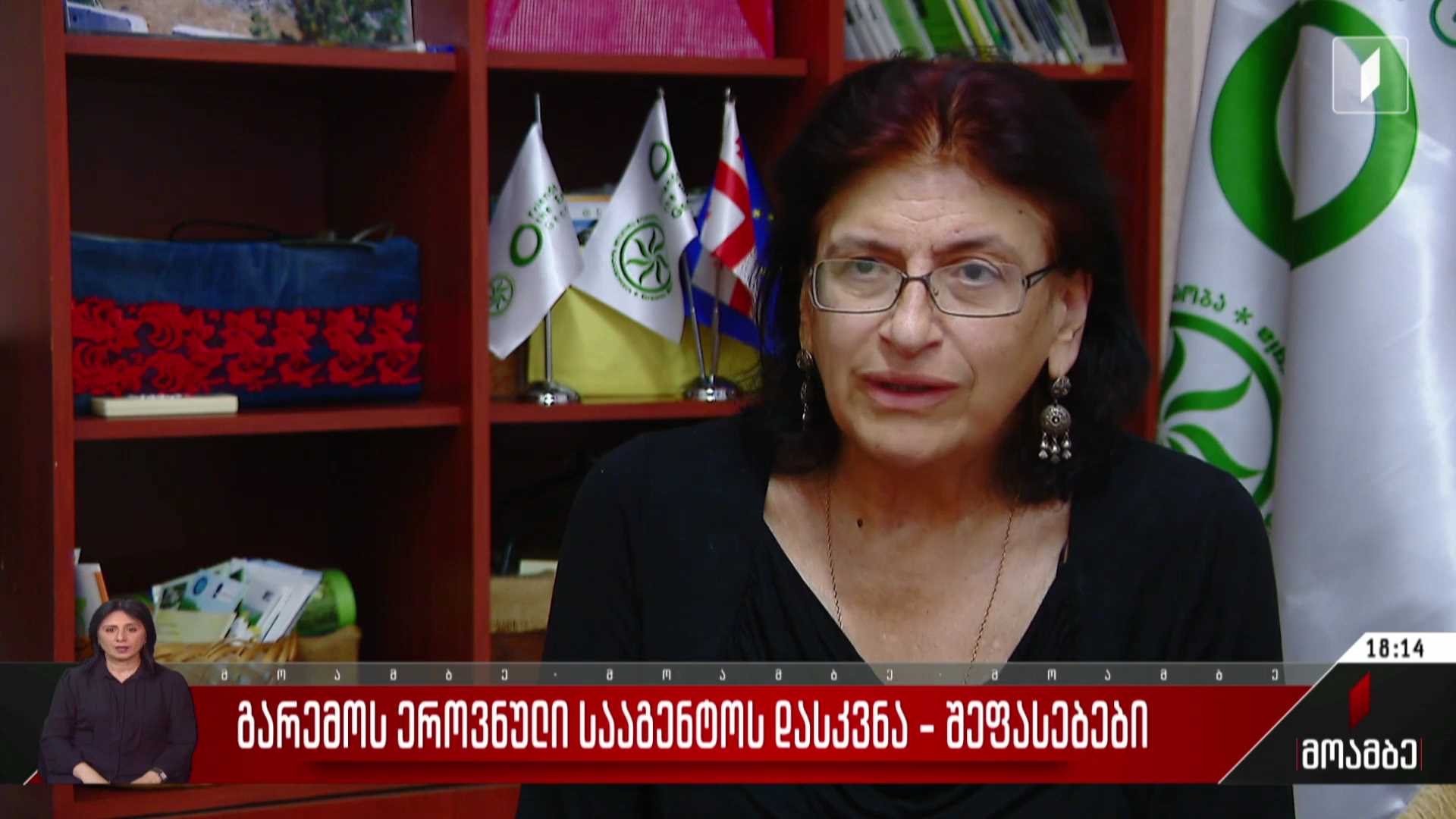 გარემოს ეროვნული სააგენტოს დასკვნა - შეფასებები პოლიტიკურ სპექტრში