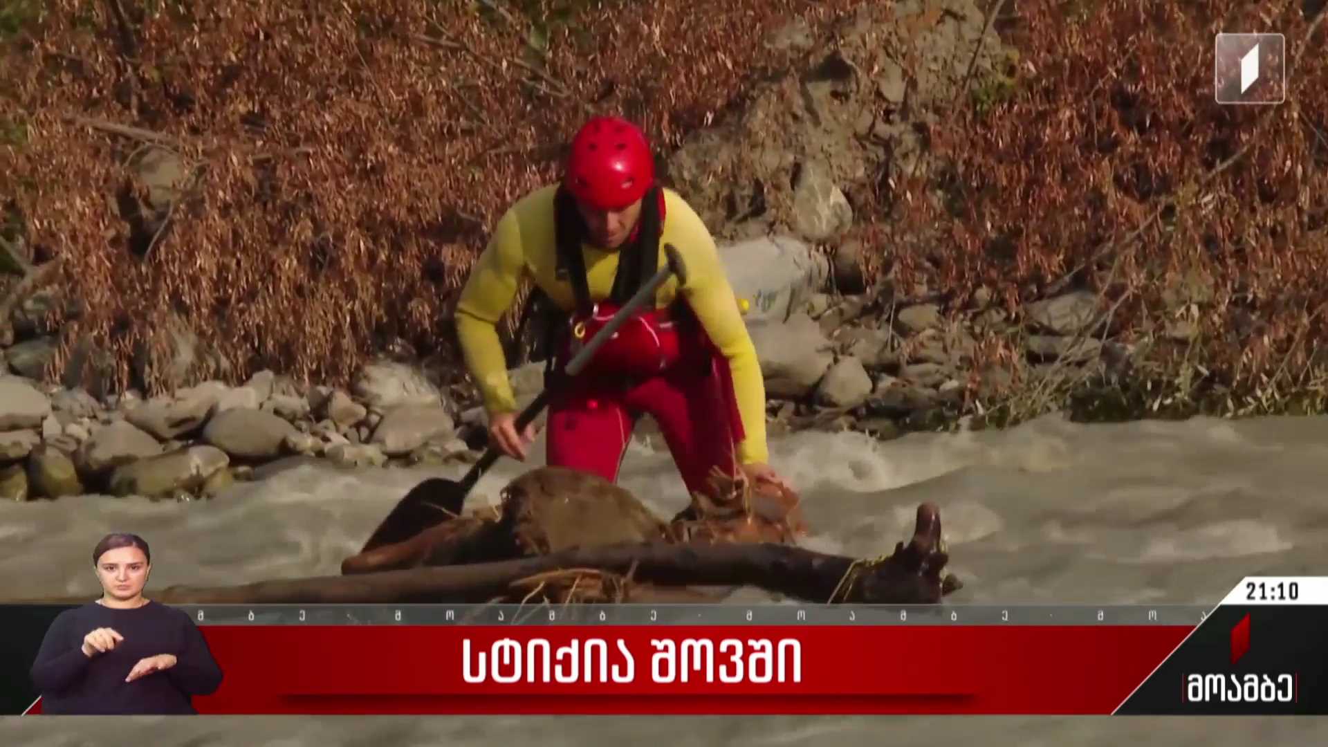 სტიქია შოვში