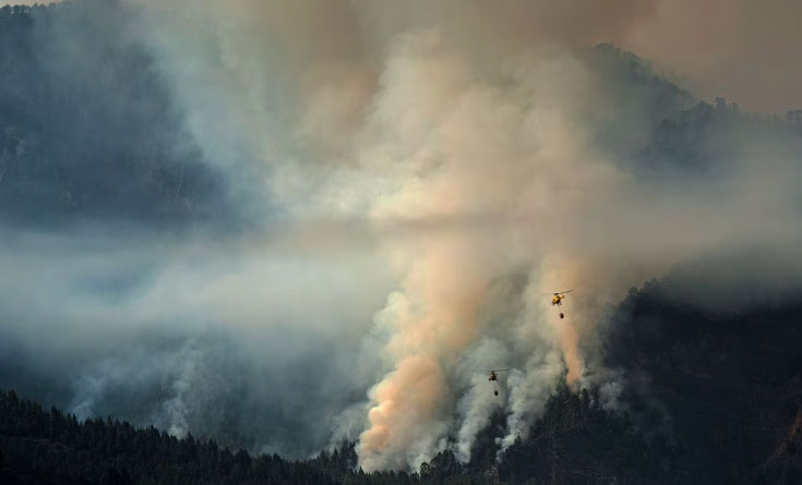 კუნძულ ტენერიფეზე, ტყეში ცეცხლი 1 800 ჰექტარის ფართობის ტერიტორიაზეა მოდებული