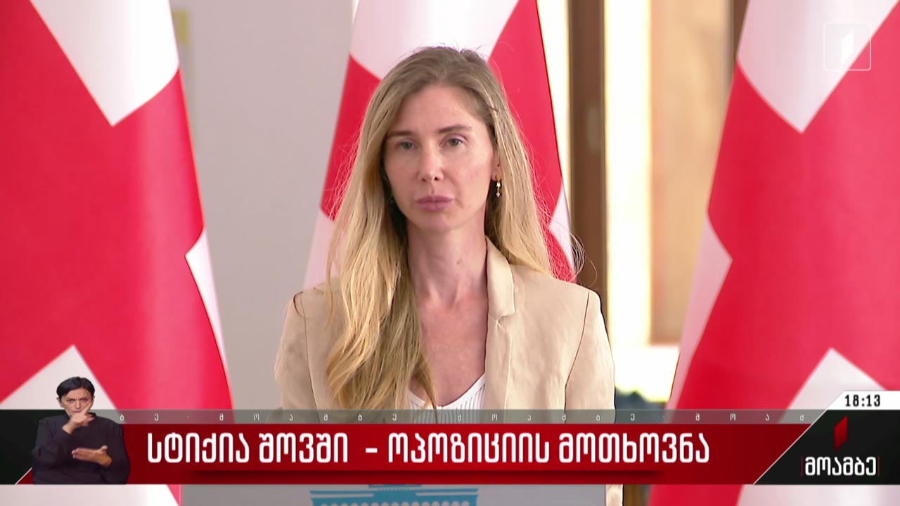 სტიქია შოვში - ოპოზიციის მოთხოვნა