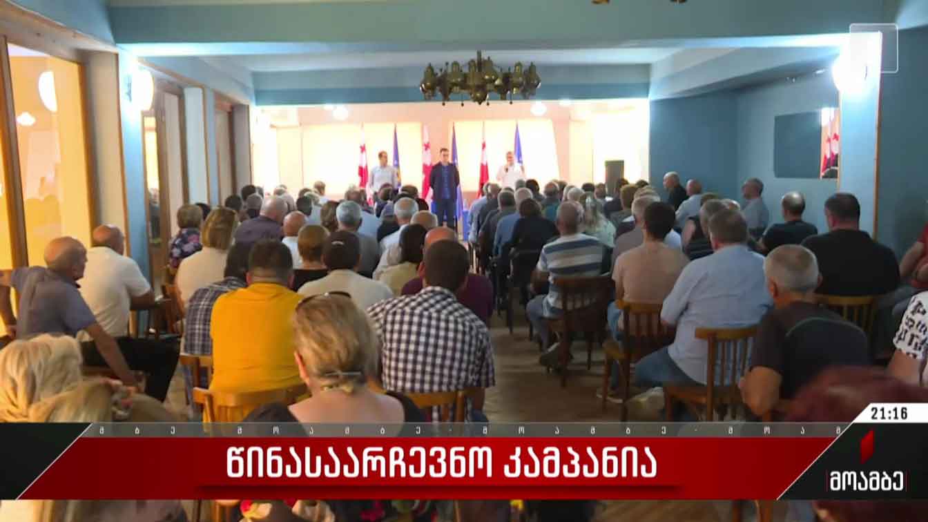წინასაარჩევნო კამპანია
