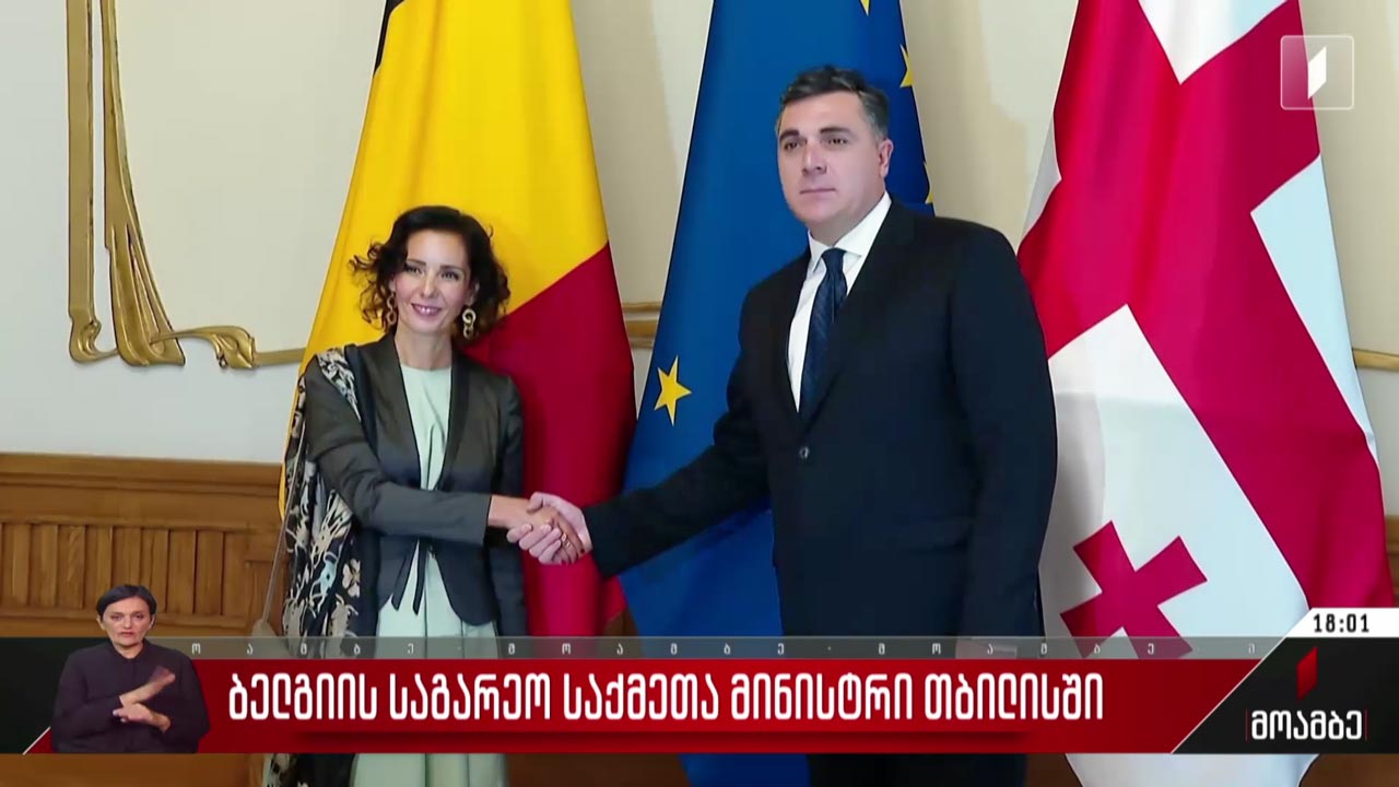 ბელგიის საგარეო საქმეთა მინისტრი თბილისში