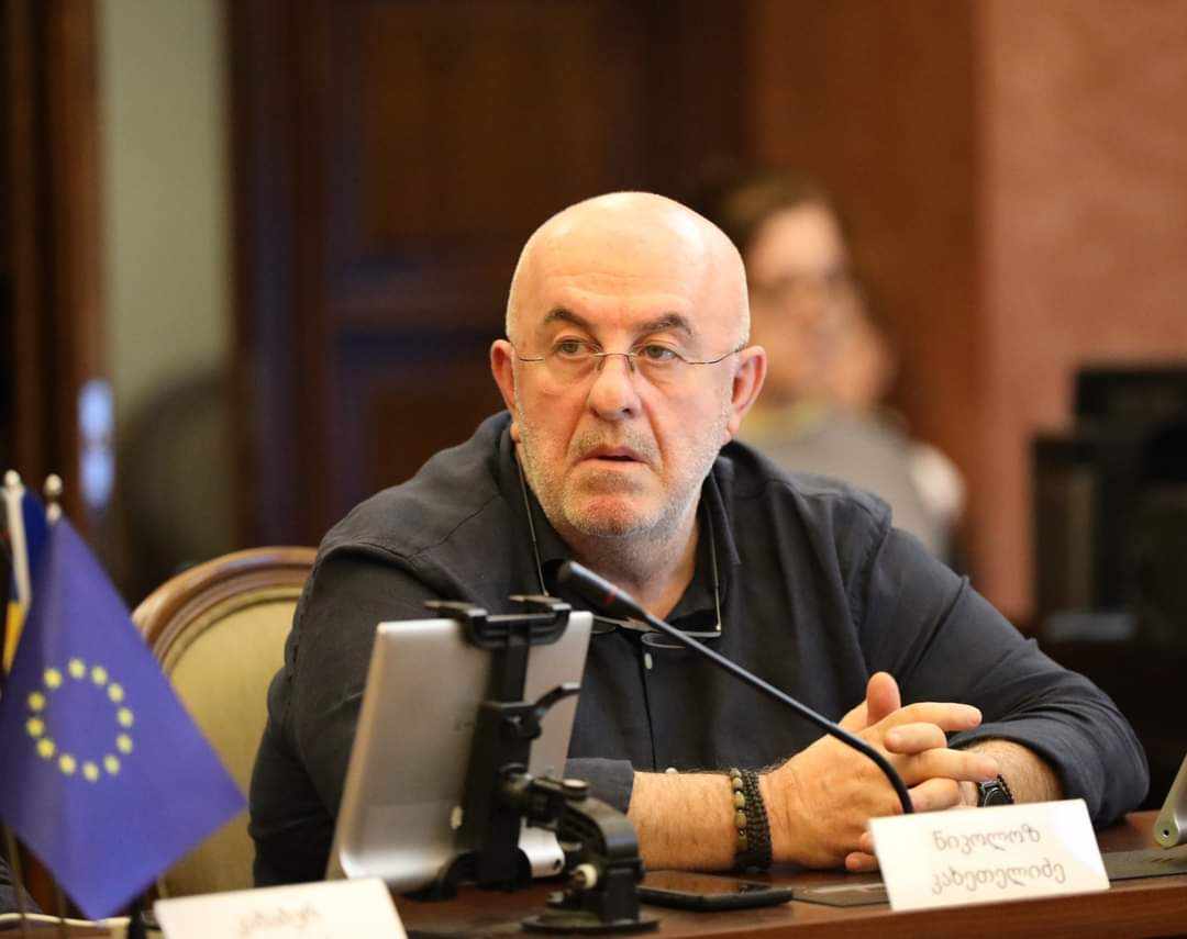 ნიკოლოზ კახეთელიძე - ოპოზიციის წარმომადგენლები არა კონკრეტული საკითხით, არამედ დესტაბილიზაციის მოხდენით არიან დაინტერესებულნი