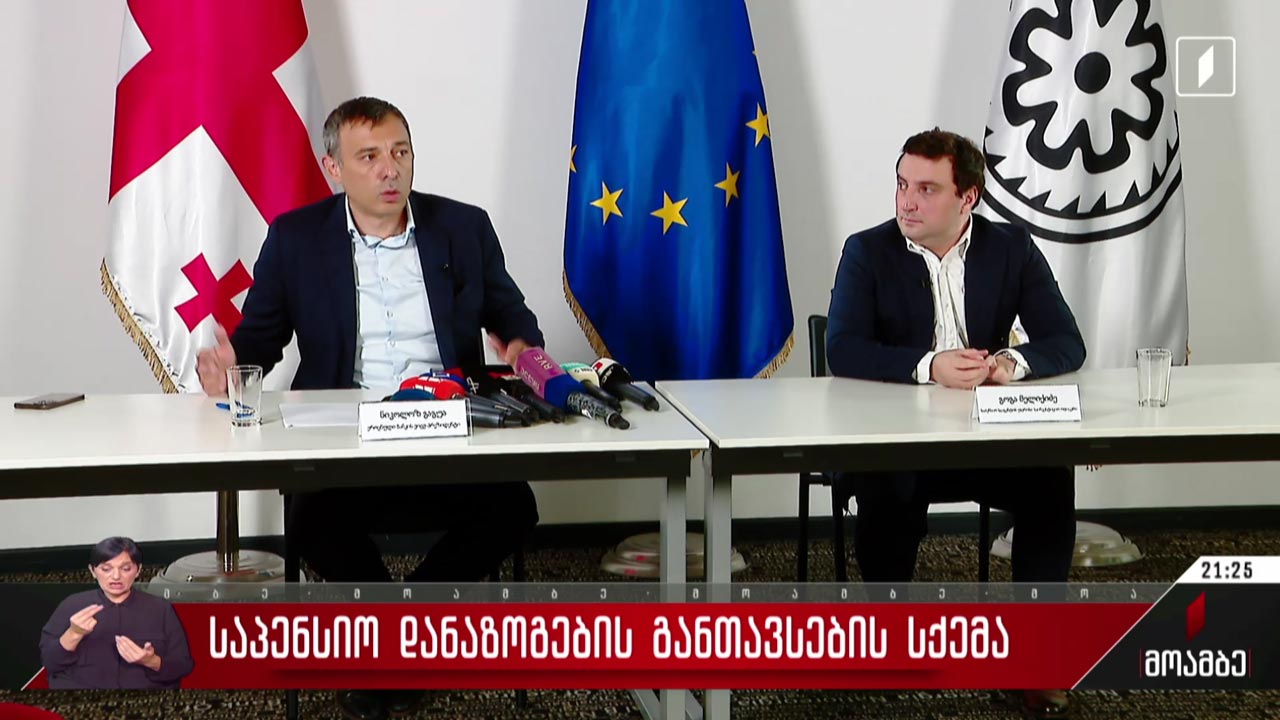 საპენსიო დანაზოგების განთავსების სქემა