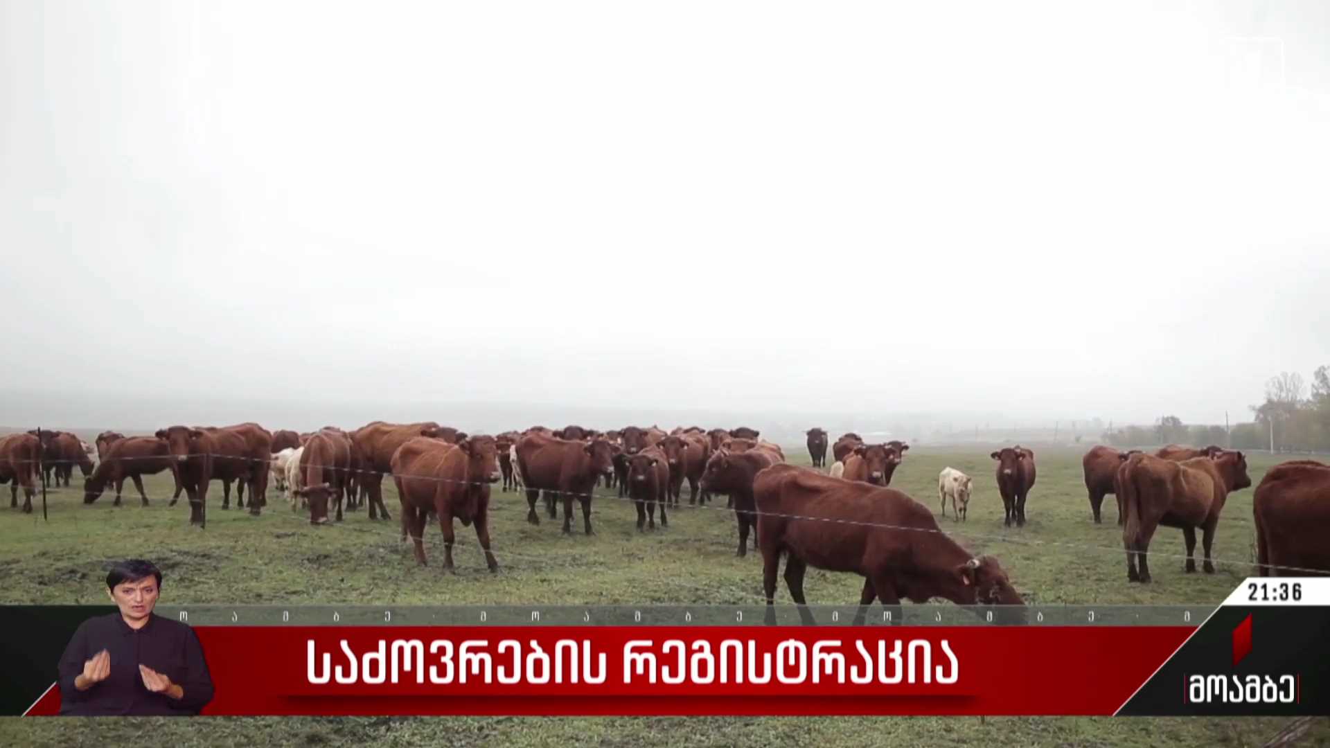 საძოვრების რეგისტრაცია 
