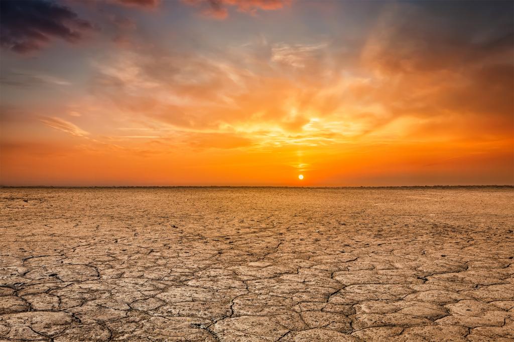 მეცნიერები გვაფრთხილებენ, რომ კლიმატის ცვლილებამ შეიძლება მილიარდამდე ადამიანის სიკვდილი გამოიწვიოს — #1tvმეცნიერება