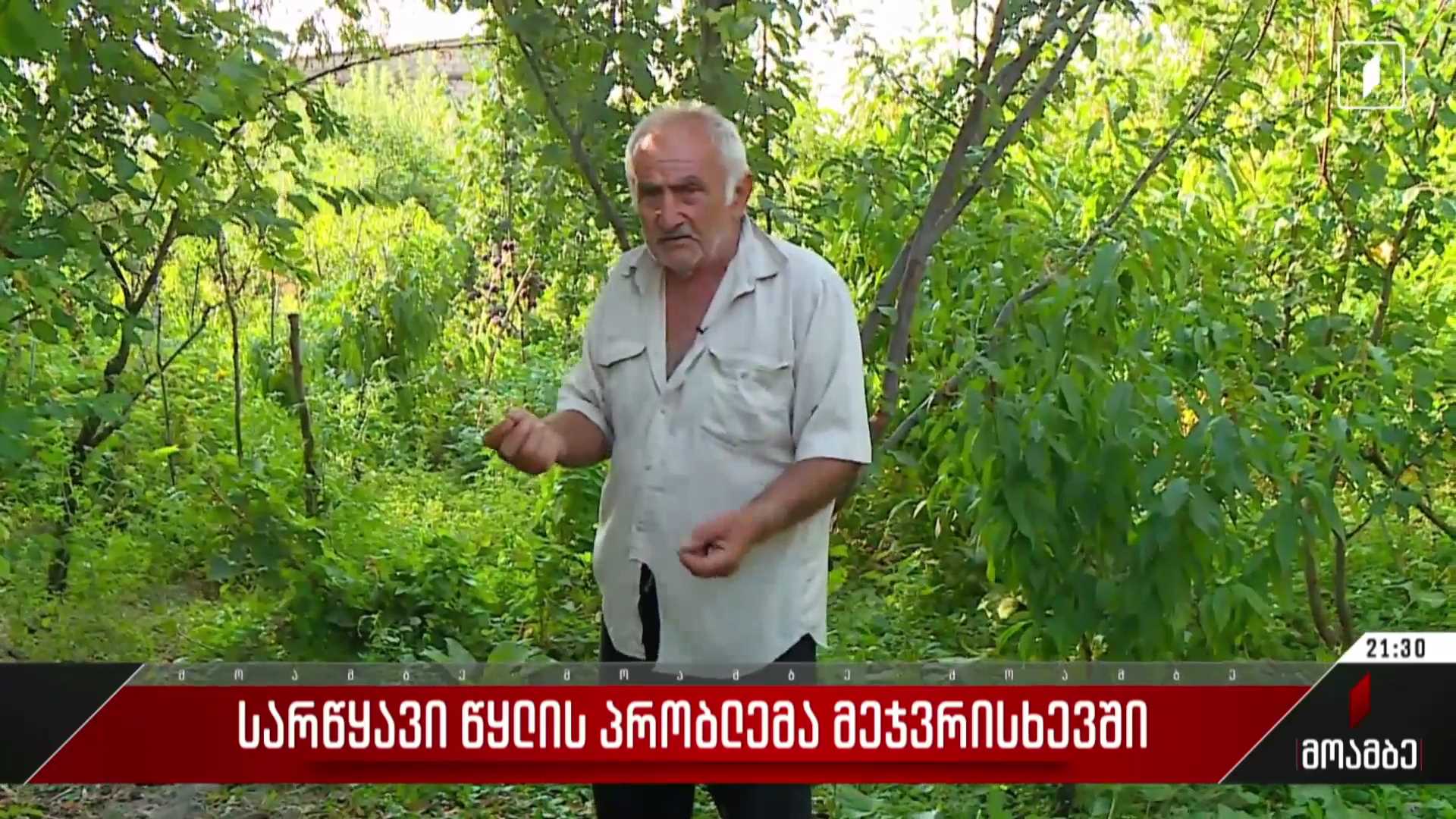სარწყავი წყლის პრობლემა მეჯვრისხევში