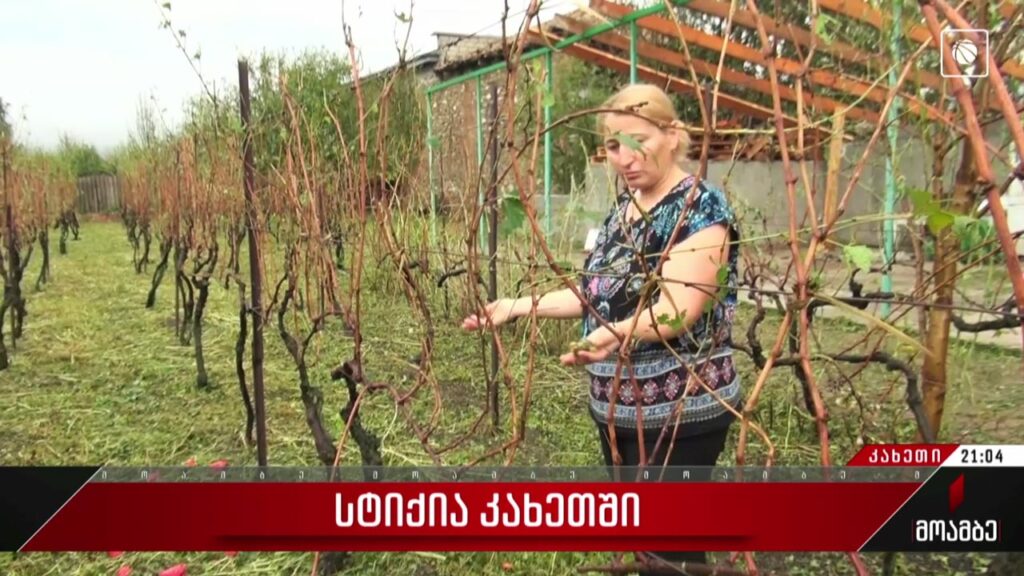სტიქია კახეთში