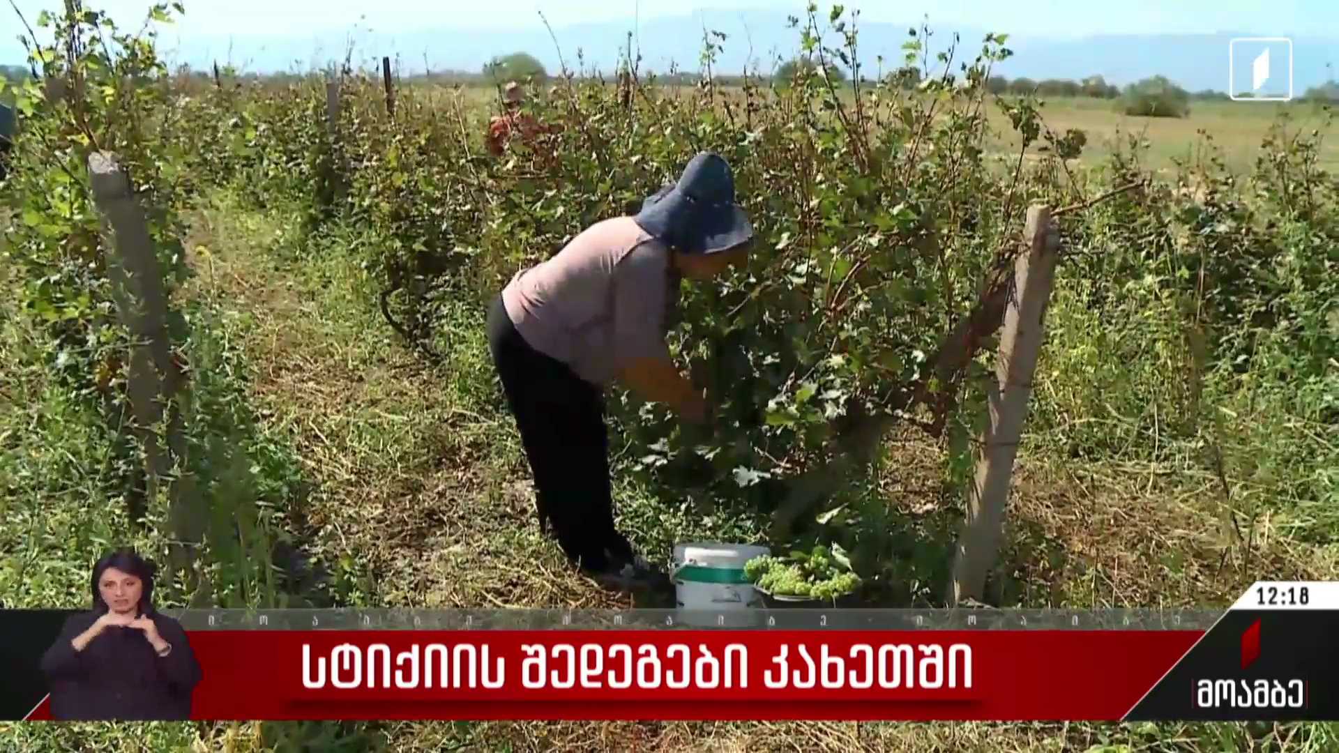 სტიქიის შედეგები კახეთში