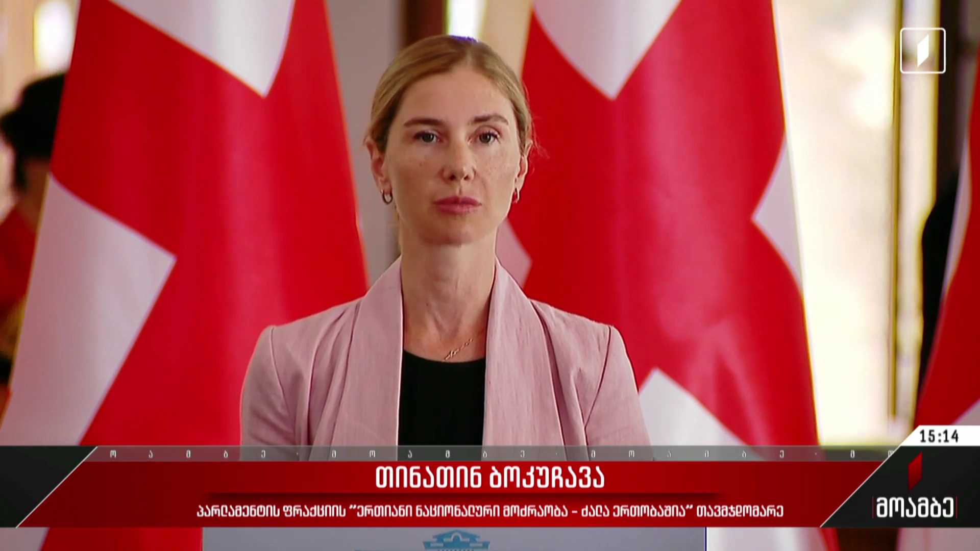 ოპოზიციის მოთხოვნა - გამოხმაურება პოლიტიკურ სპექტრში