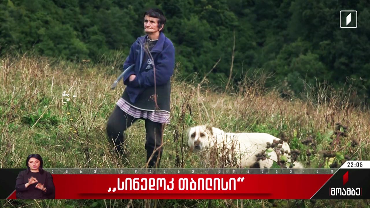 „სინედოკ თბილისი“