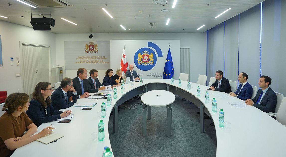 ლევან დავითაშვილი EBRD-ის პირველ ვიცე-პრეზიდენტს შეხვდა