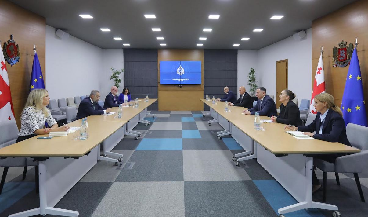 ვახტანგ გომელაურმა ევროკავშირის სადამკვირვებლო მისიის ახალ ხელმძღვანელთან შეხვედრა გამართა