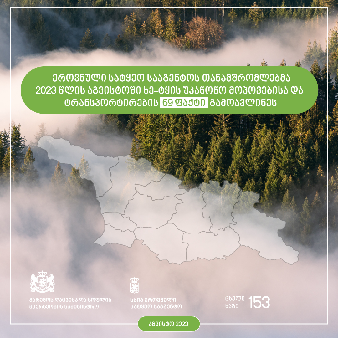 სატყეო სააგენტო - წელს ხე-ტყის უკანონო მოპოვებისა და ტრანსპორტირების 739 ფაქტი გამოვლინდა