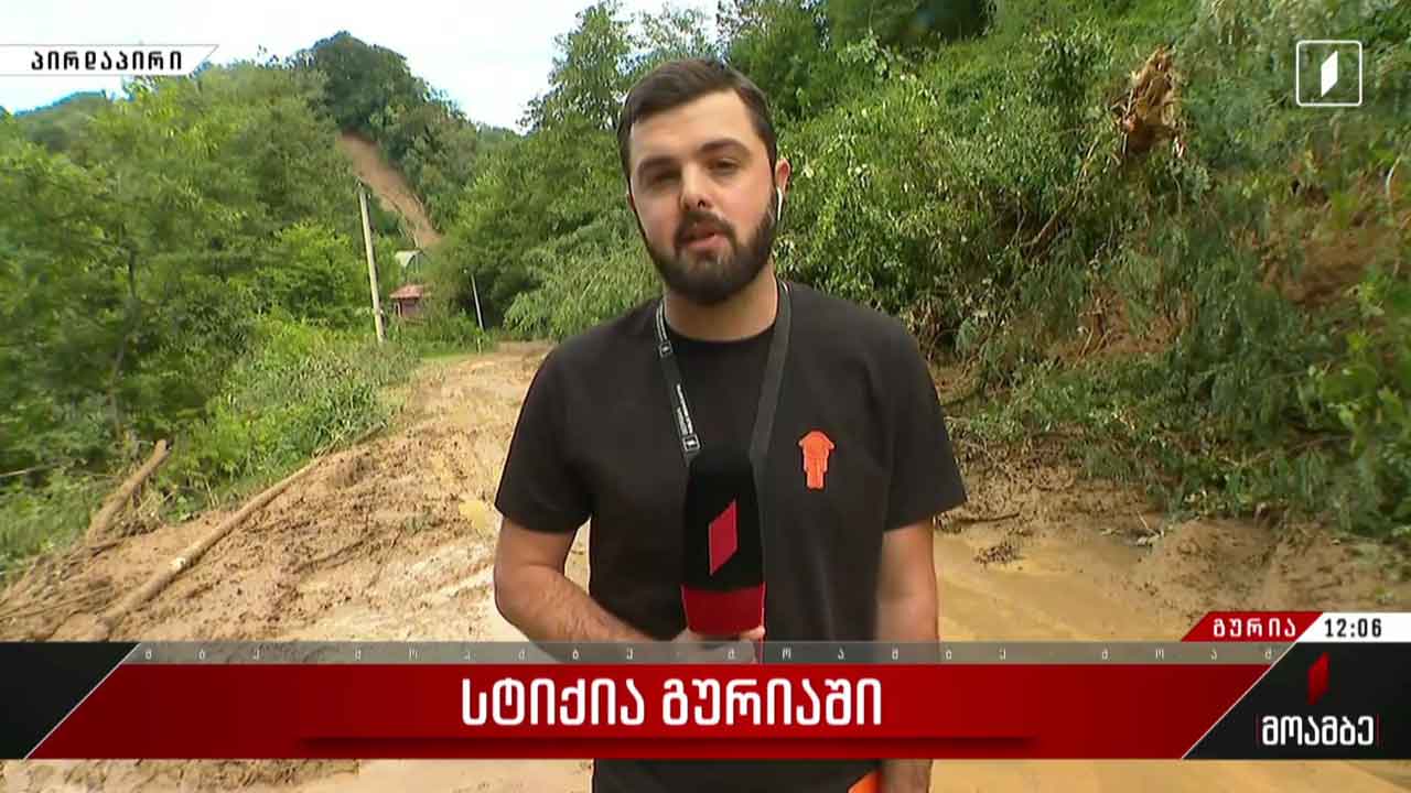 სტიქია გურიაში