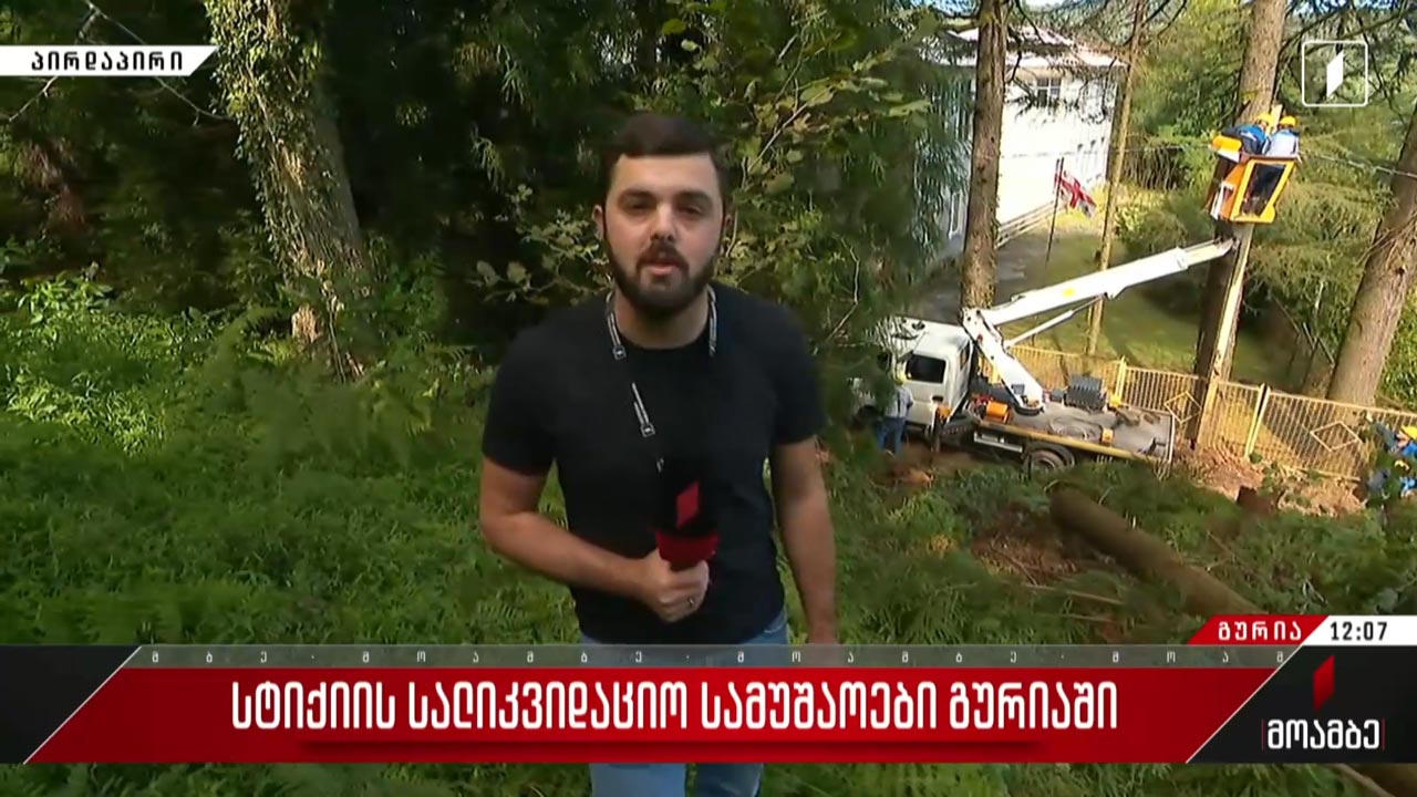 სტიქიის სალიკვიდაციო სამუშაოები გურიაში
