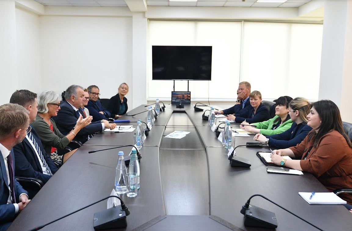 თამარ გაბუნია დიაბეტის მსოფლიო ფონდის დირექტორთა საბჭოს წევრებს შეხვდა