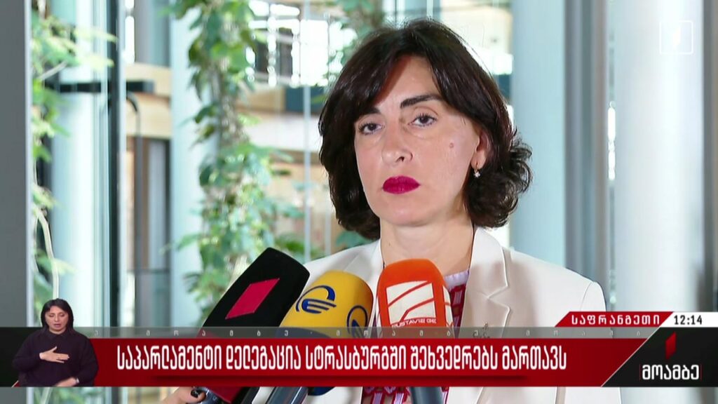 საპარლამენტო დელეგაცია სტრასბურგში შეხვედრებს მართავს