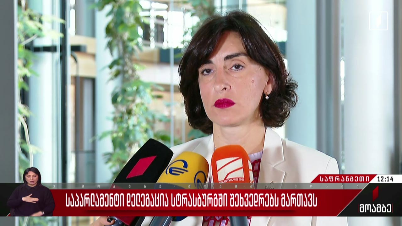 საპარლამენტო დელეგაცია სტრასბურგში შეხვედრებს მართავს