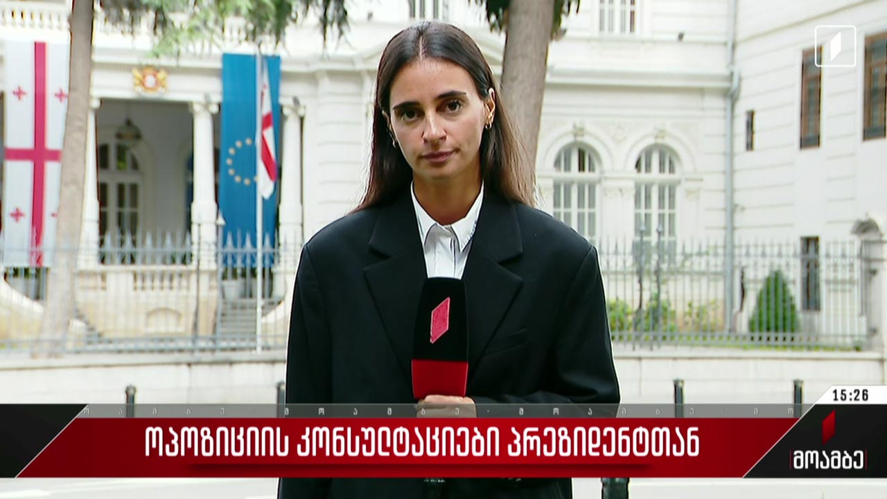 ოპოზიციის კონსულტაციები პრეზიდენტთან