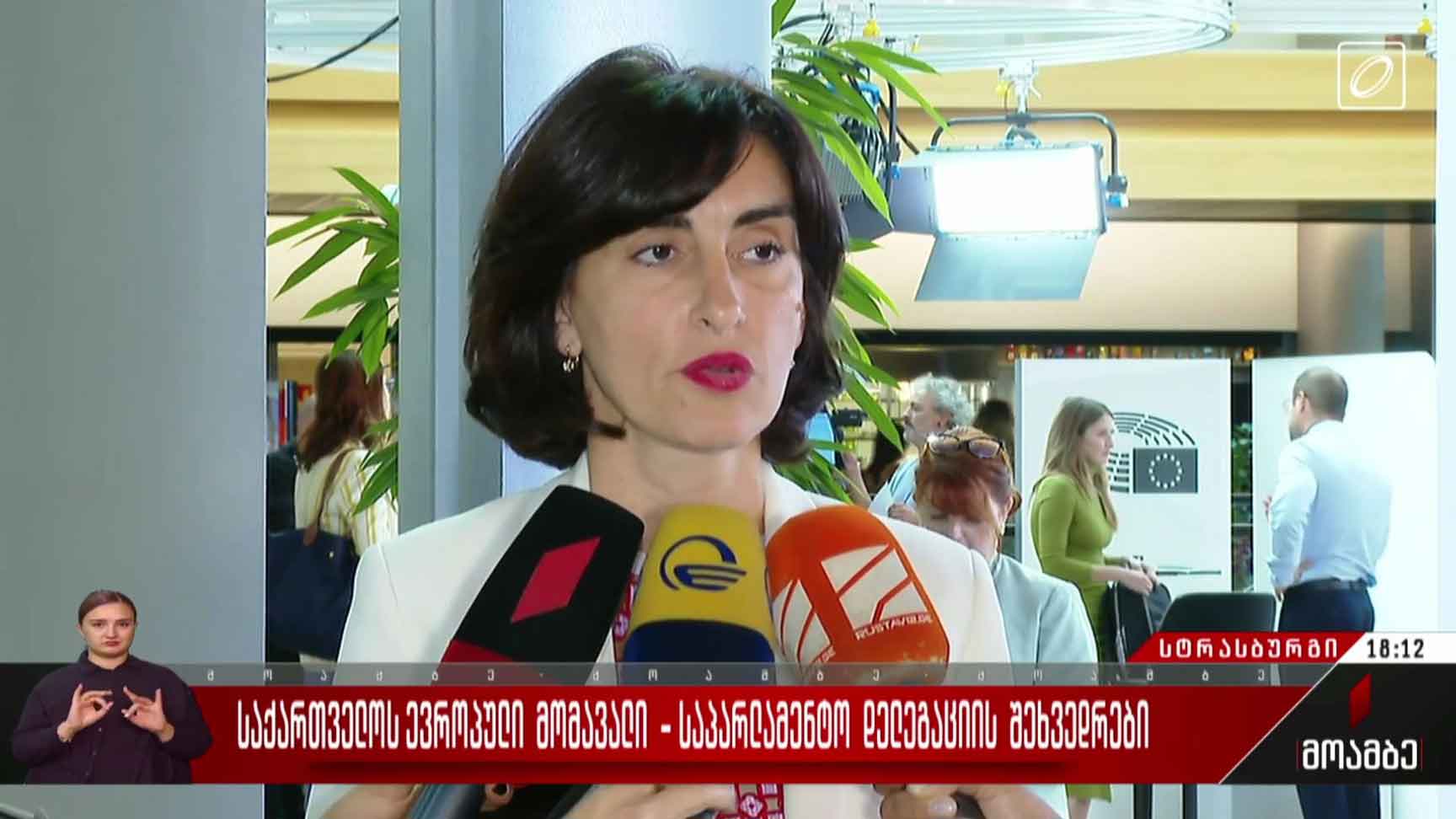საქართველოს ევროპული მომავალი - საპარლამენტო დელეგაციის შეხვედრები