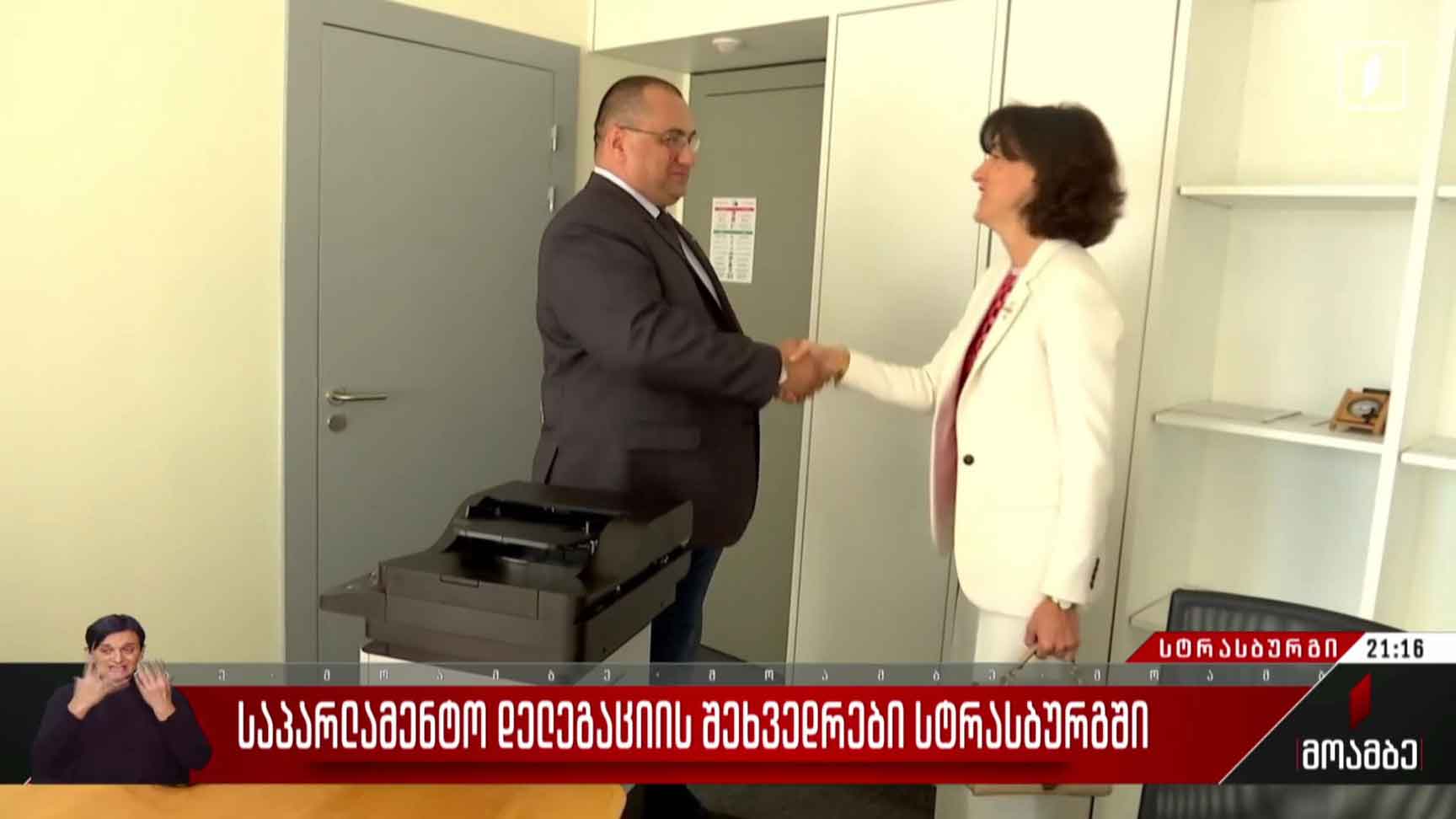 საპარლამენტო დელეგაციის შეხვედრები სტრასბურგში