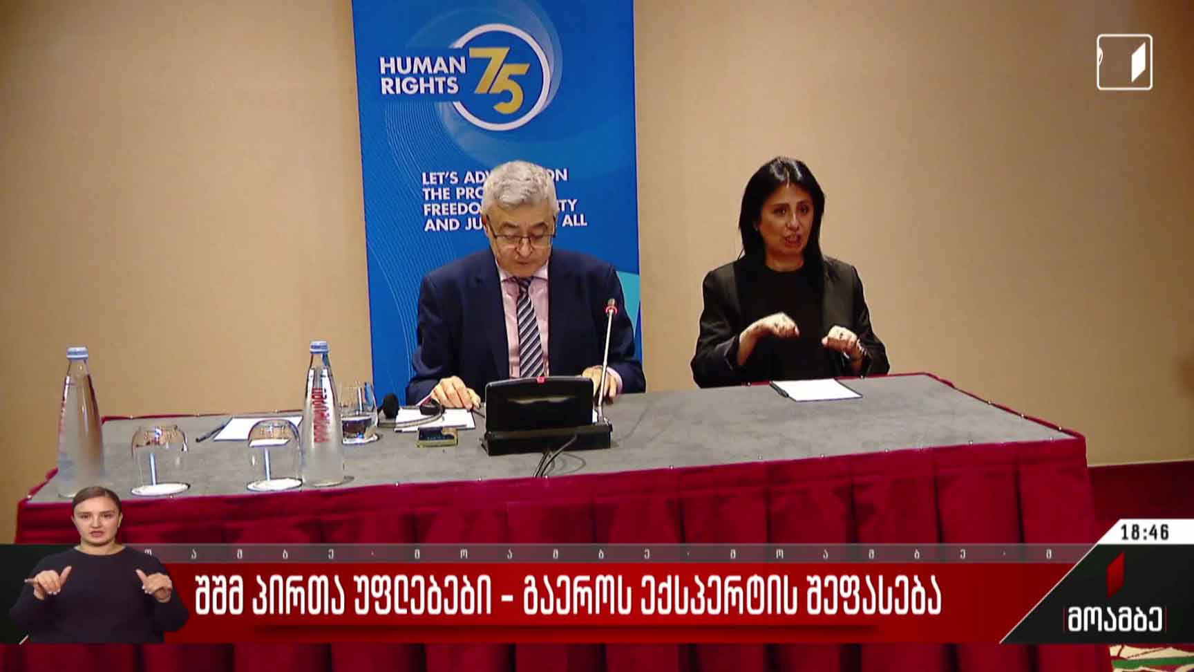 შშმ პირთა უფლებები - გაერო-ს ექსპერტის შეფასება