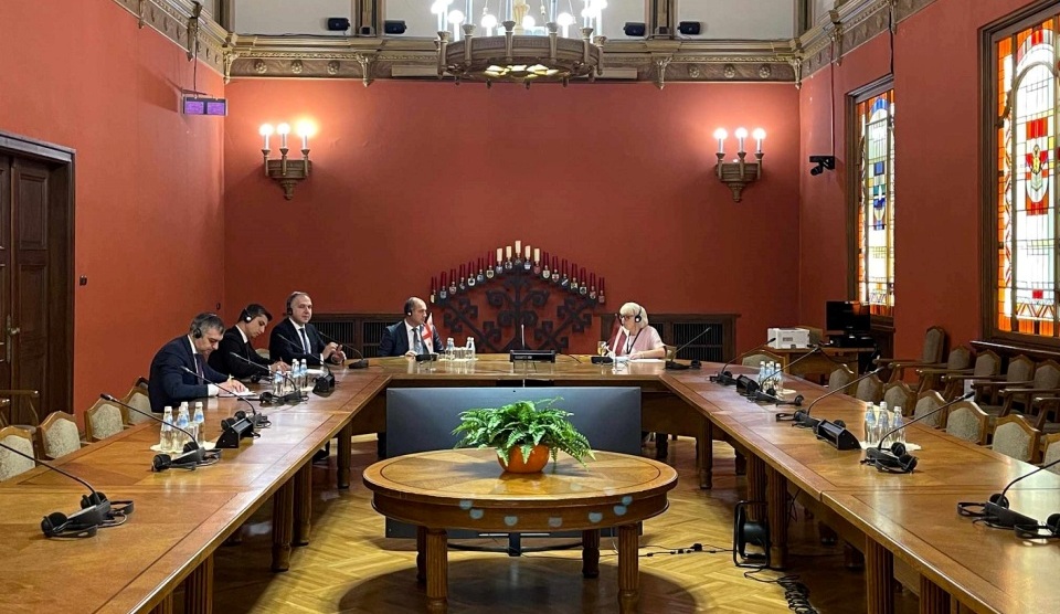 გივი მიქანაძე ლატვიის პარლამენტის განათლების, კულტურისა და მეცნიერების კომიტეტის თავმჯდომარეს შეხვდა