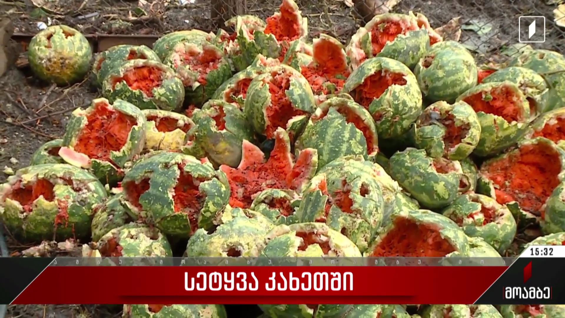 სეტყვა კახეთში
