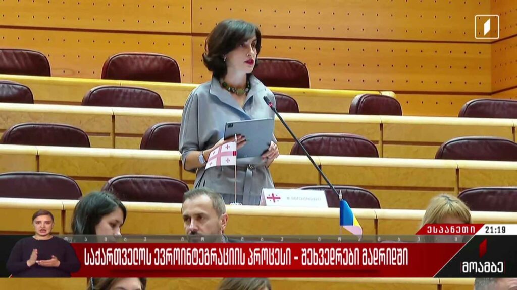 საქართველოს ევროინტეგრაციის პროცესი – შეხვედრები მადრიდში