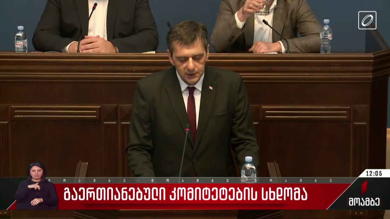 გაერთიანებული კომიტეტების სხდომა
