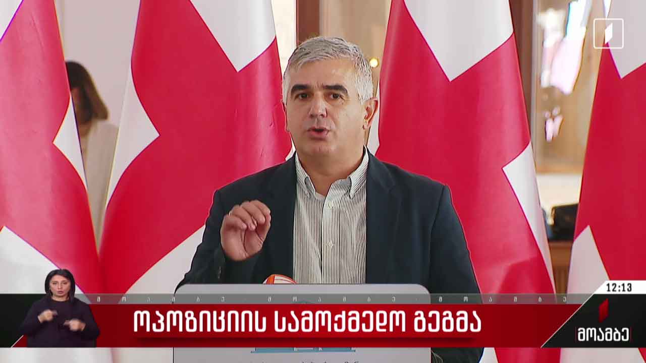 ოპოზიციის სამოქმედო გეგმა