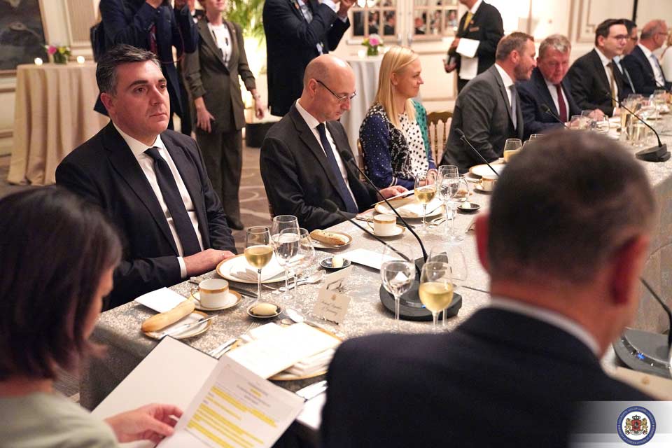 ილია დარჩიაშვილმა ტრანსატლანტიკური ქვეყნების საგარეო საქმეთა მინისტრების შეხვედრაში მიიღო მონაწილეობა