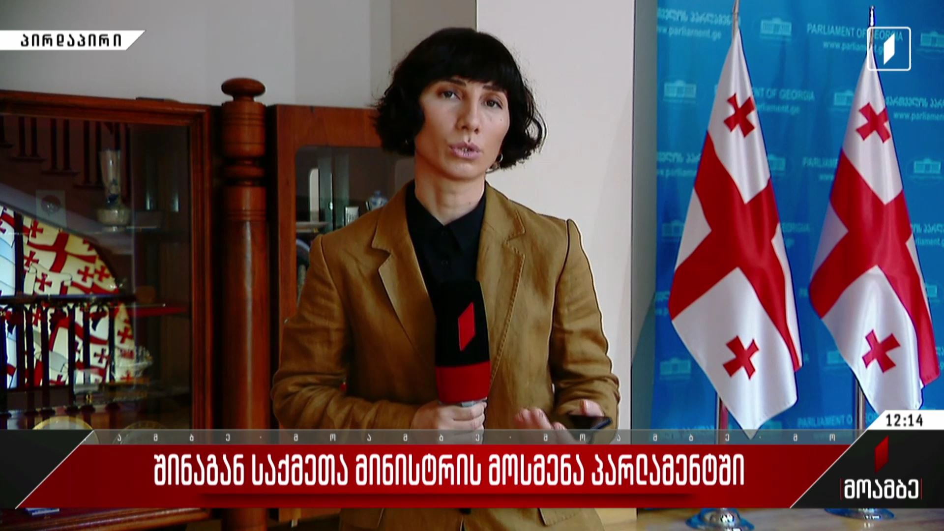 შინაგან საქმეთა მინისტრის მოსმენა პარლამენტში