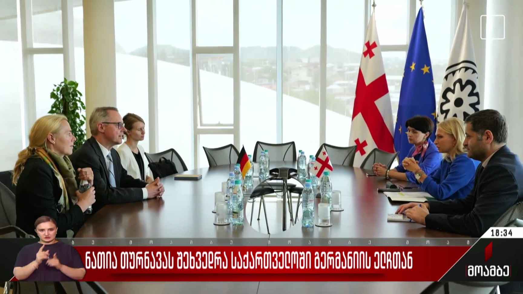 ნათია თურნავას შეხვედრა საქართველოში გერმანიის ელჩთან