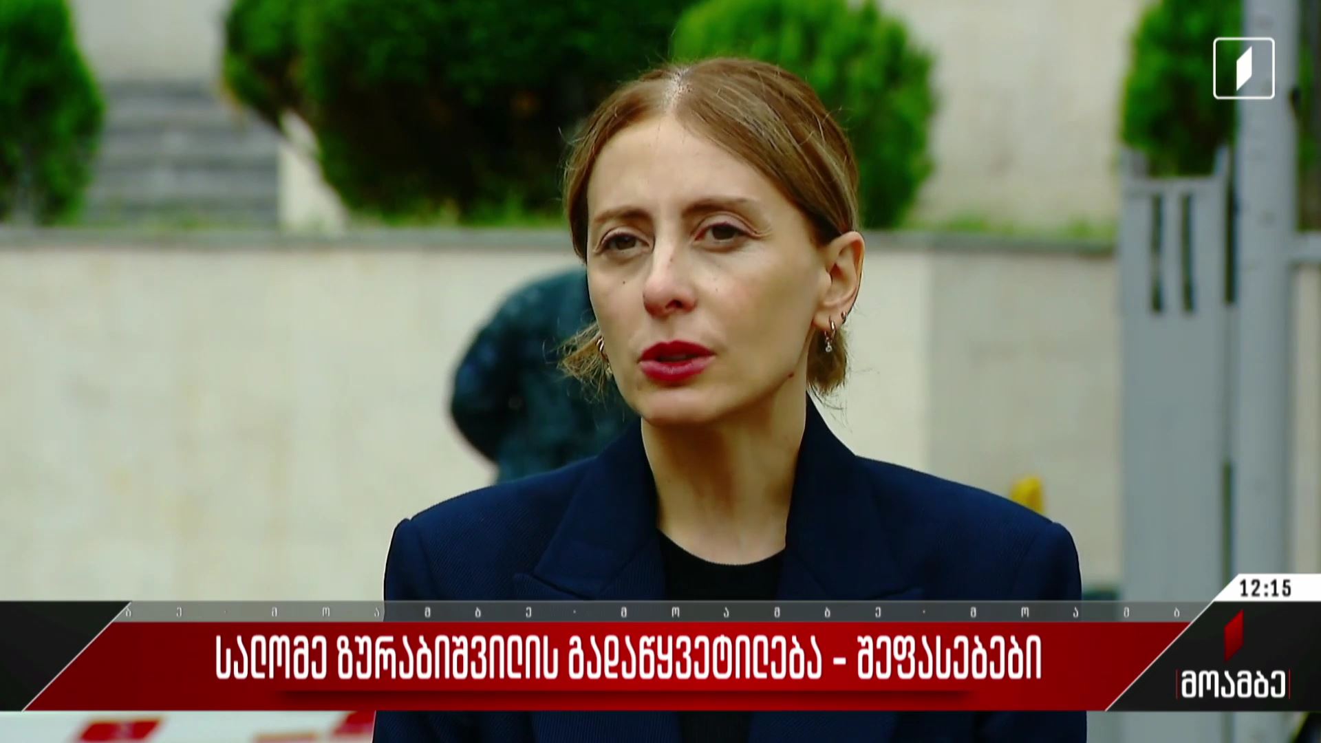  სალომე ზურაბიშვილის გადაწყვეტილება - შეფასებები პოლიტიკურ სპექტრში