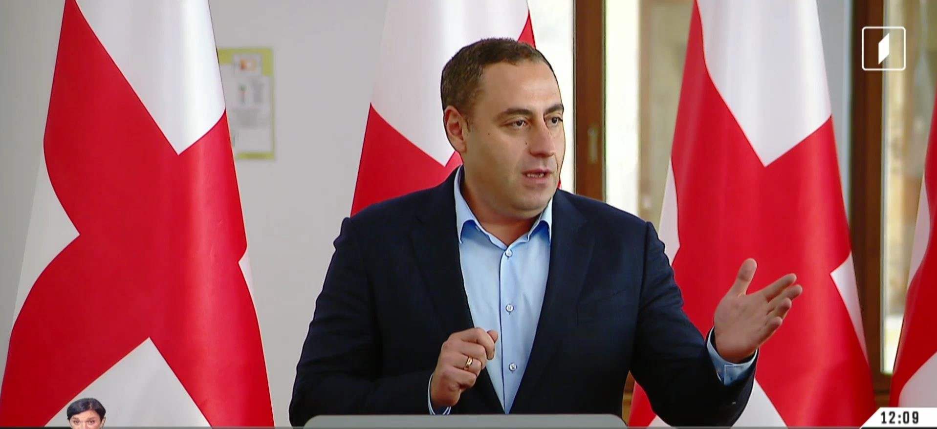 პრეზიდენტი ფარცხალაძეს მოქალაქეობას არ უწყვეტს - შეფასებები პოლიტიკურ სპექტრში