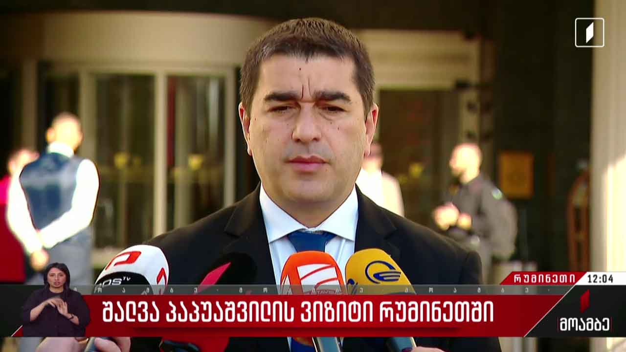 შალვა პაპუაშვილის ვიზიტი რუმინეთში