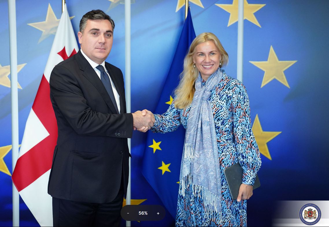 ილია დარჩიაშვილი ევროკომისარ კადრი სიმსონს შეხვდა
