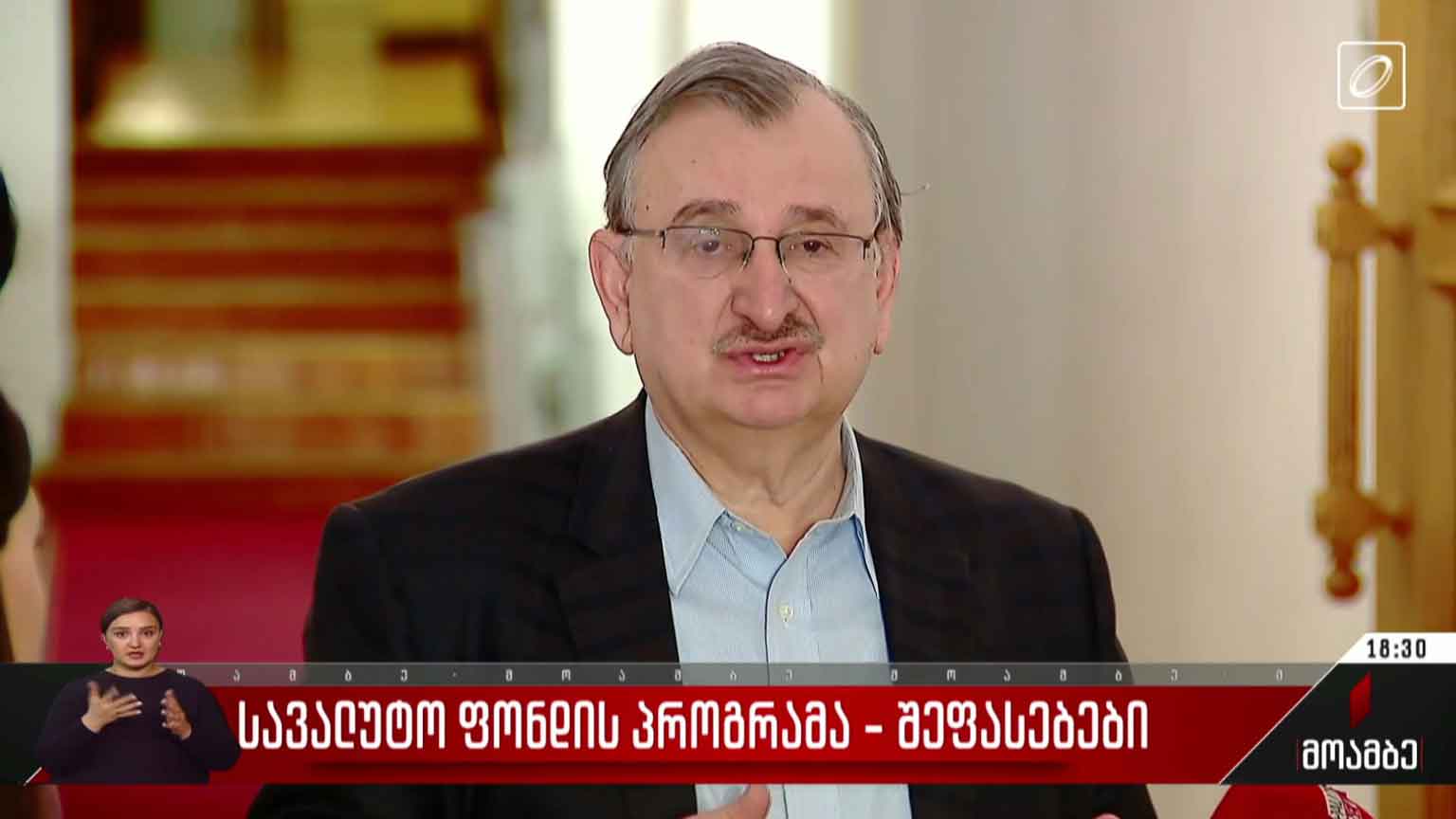 სავალუტო ფონდის პროგრამა - შეფასებები