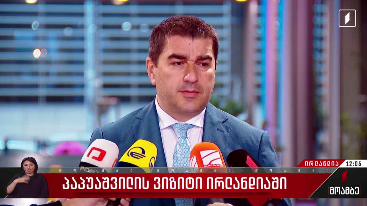 შალვა პაპუაშვილის ვიზიტი ირლანდიაში