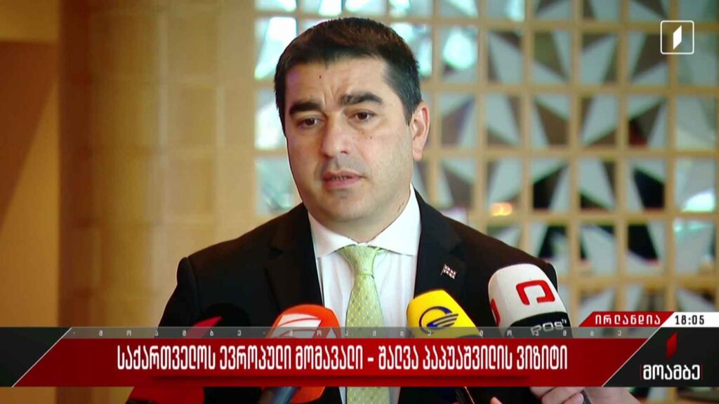 საქართველოს ევროპული მომავალი – შალვა პაპუაშვილის ვიზიტი