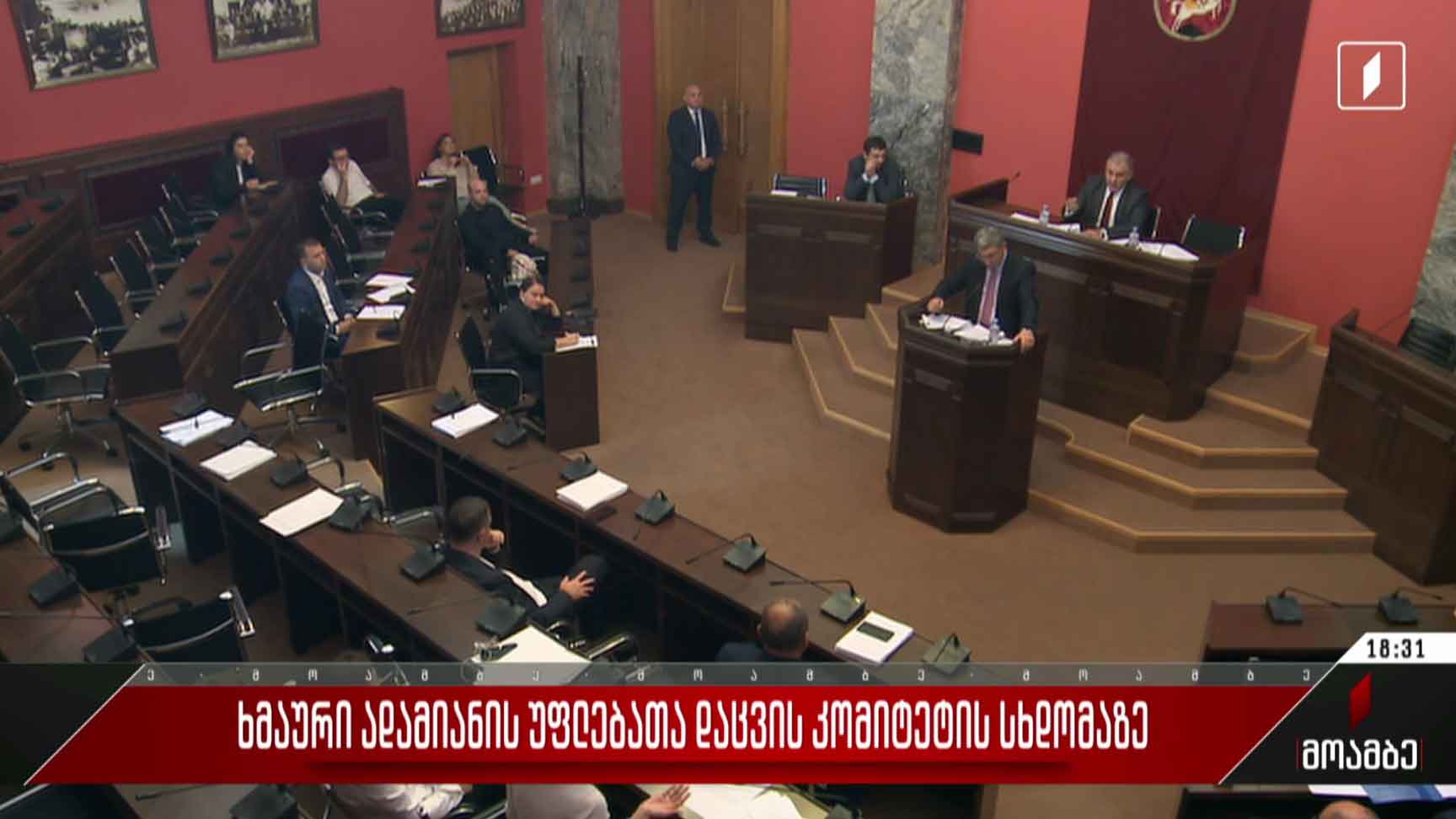 ხმაური ადამიანის უფლებათა დაცვის კომიტეტის სხდომაზე