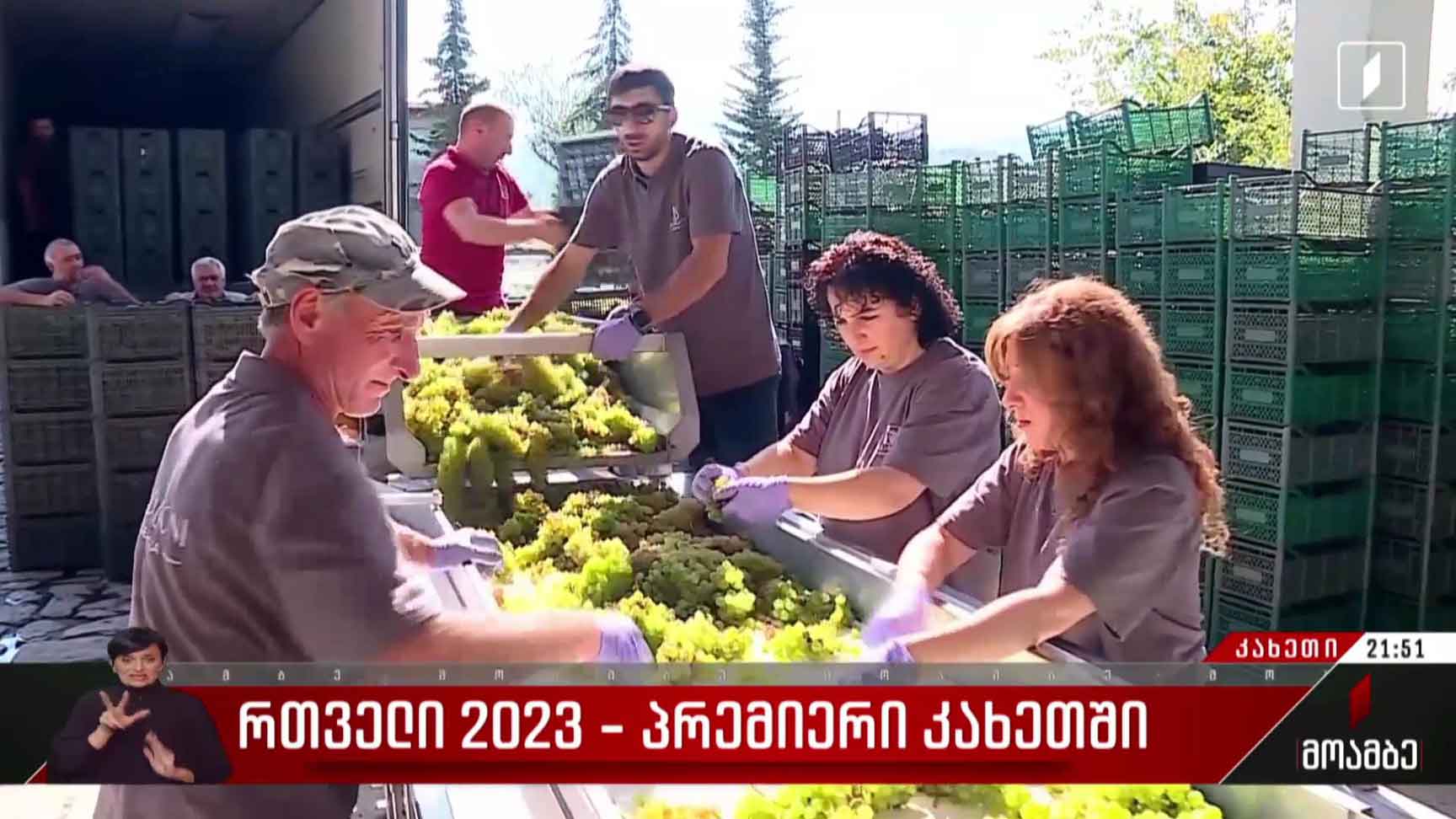 რთველი 2023 - პრემიერი კახეთში